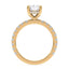Addison Hidden Halo French Pavé Setting