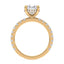 Addison Hidden Halo French Pavé Setting