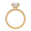 Addison Hidden Halo French Pavé Setting