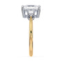 lm-preview|alexandra-three-stone-setting|tt-yellow|elongated-cushion