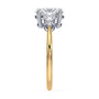 lm-preview|alexandra-three-stone-setting|tt-yellow|oval