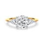 lm-preview|alexandra-three-stone-setting|tt-yellow|round