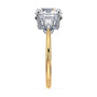 lm-preview|alexandra-three-stone-setting|tt-yellow|round