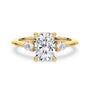 lm-preview|alexandra-three-stone-setting|yellow|elongated-cushion