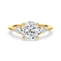 lm-preview|alexandra-three-stone-setting|yellow|round