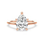 lm-preview|amelia-cathedral-solitaire-setting|rose|pear