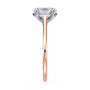 lm-preview|amelia-cathedral-solitaire-setting|tt-rose|oval