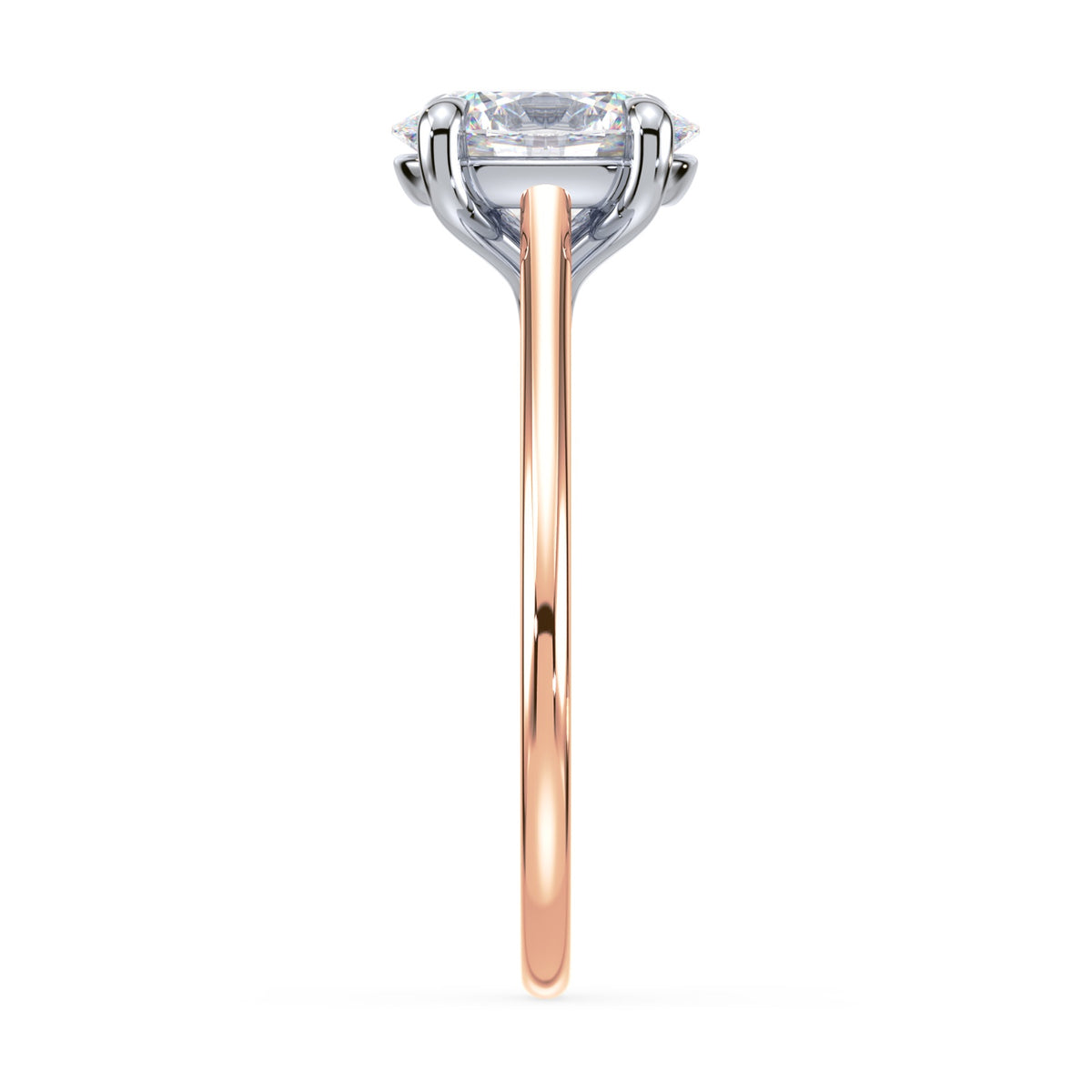 lm-preview|amelia-cathedral-solitaire-setting|tt-rose|oval