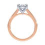 lm-preview|amelia-cathedral-solitaire-setting|tt-rose|oval