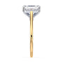 lm-preview|amelia-cathedral-solitaire-setting|tt-yellow|elongated-cushion