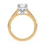 lm-preview|amelia-cathedral-solitaire-setting|tt-yellow|elongated-cushion