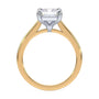 lm-preview|amelia-cathedral-solitaire-setting|tt-yellow|emerald