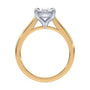lm-preview|amelia-cathedral-solitaire-setting|tt-yellow|oval