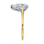 lm-preview|amelia-cathedral-solitaire-setting|tt-yellow|pear