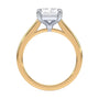 lm-preview|amelia-cathedral-solitaire-setting|tt-yellow|radiant