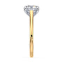 lm-preview|amelia-cathedral-solitaire-setting|tt-yellow|round