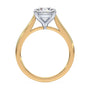 lm-preview|amelia-cathedral-solitaire-setting|tt-yellow|round