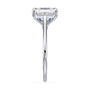 lm-preview|amelia-cathedral-solitaire-setting|white|elongated-cushion