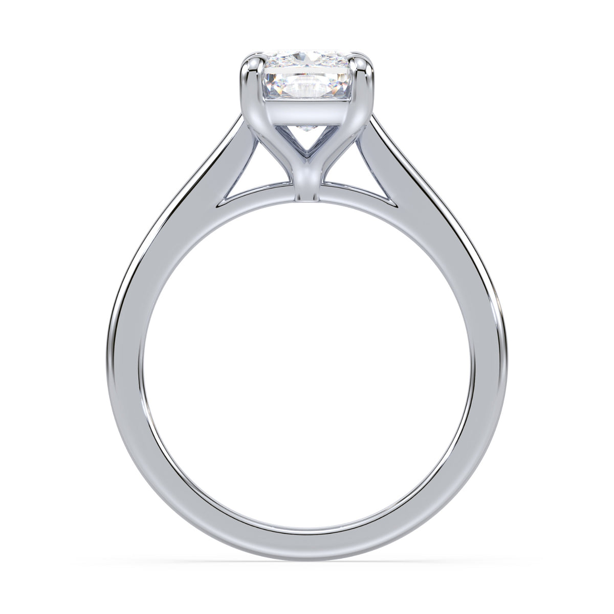 lm-preview|amelia-cathedral-solitaire-setting|white|elongated-cushion