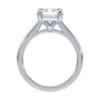 lm-preview|amelia-cathedral-solitaire-setting|white|emerald