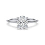 lm-preview|amelia-cathedral-solitaire-setting|white|oval