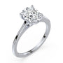 lm-preview|amelia-cathedral-solitaire-setting|white|oval
