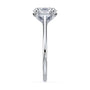 lm-preview|amelia-cathedral-solitaire-setting|white|oval