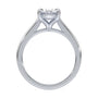 lm-preview|amelia-cathedral-solitaire-setting|white|oval