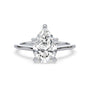 lm-preview|amelia-cathedral-solitaire-setting|white|pear
