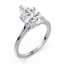 lm-preview|amelia-cathedral-solitaire-setting|white|pear
