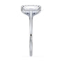lm-preview|amelia-cathedral-solitaire-setting|white|radiant