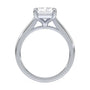 lm-preview|amelia-cathedral-solitaire-setting|white|radiant