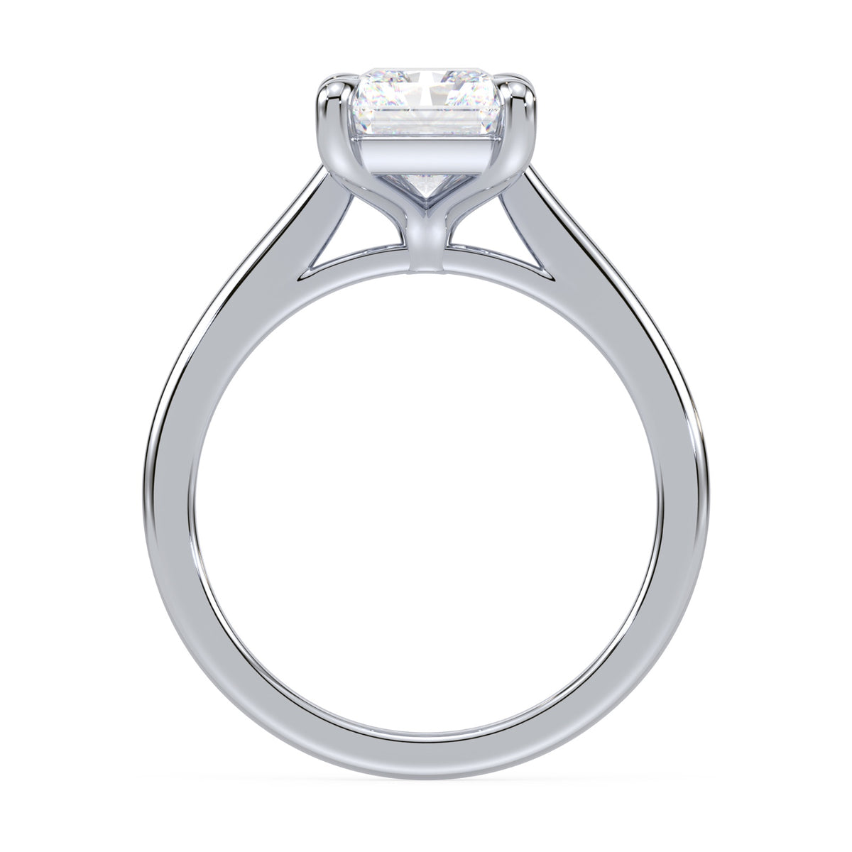 lm-preview|amelia-cathedral-solitaire-setting|white|radiant