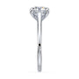 lm-preview|amelia-cathedral-solitaire-setting|white|round