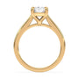 lm-preview|amelia-cathedral-solitaire-setting|yellow|elongated-cushion