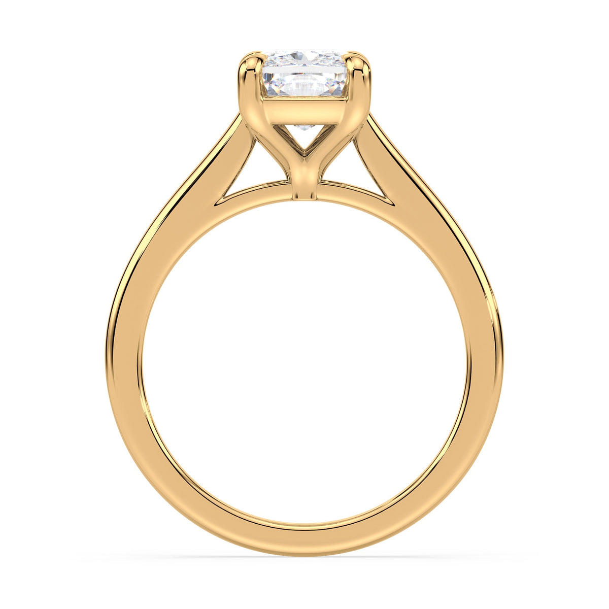 lm-preview|amelia-cathedral-solitaire-setting|yellow|elongated-cushion