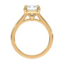 lm-preview|amelia-cathedral-solitaire-setting|yellow|emerald