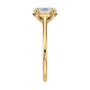 lm-preview|amelia-cathedral-solitaire-setting|yellow|oval