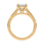 lm-preview|amelia-cathedral-solitaire-setting|yellow|oval