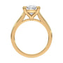 lm-preview|amelia-cathedral-solitaire-setting|yellow|pear