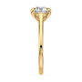 lm-preview|amelia-cathedral-solitaire-setting|yellow|round