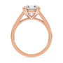 lm-preview|beatrice-double-claw-prong-cathedral-solitaire-setting|rose|round