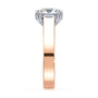 lm-preview|beatrice-double-claw-prong-cathedral-solitaire-setting|tt-rose|round