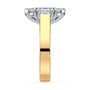 lm-preview|beatrice-double-claw-prong-cathedral-solitaire-setting|tt-yellow|marquise