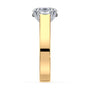 lm-preview|beatrice-double-claw-prong-cathedral-solitaire-setting|tt-yellow|oval