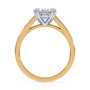 lm-preview|beatrice-double-claw-prong-cathedral-solitaire-setting|tt-yellow|oval