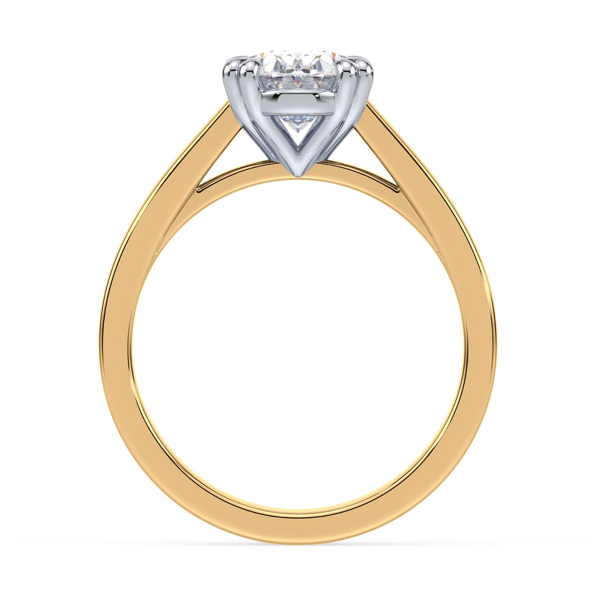 lm-preview|beatrice-double-claw-prong-cathedral-solitaire-setting|tt-yellow|oval