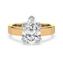 lm-preview|beatrice-double-claw-prong-cathedral-solitaire-setting|tt-yellow|pear