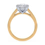 lm-preview|beatrice-double-claw-prong-cathedral-solitaire-setting|tt-yellow|pear