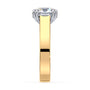 lm-preview|beatrice-double-claw-prong-cathedral-solitaire-setting|tt-yellow|round